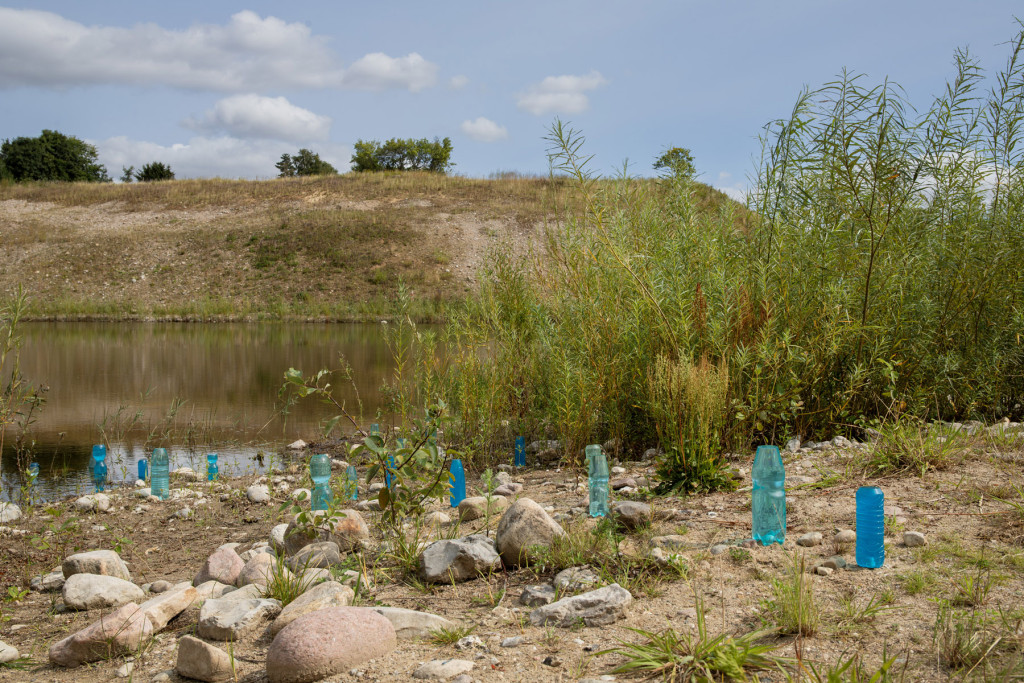 water vand bottle plastic gravel pit nature 